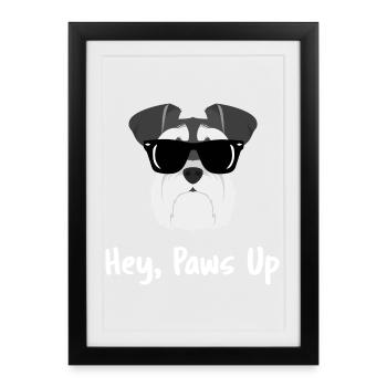 Slogan des lunettes de soleil Schnauzer Hé, pattes en l’air - Affiche encadrée (27 × 37 cm) - noir - Devant