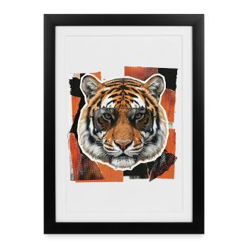 Tiger Sunglasses Risography - Framed poster (27 × 37 cm) - black - Front