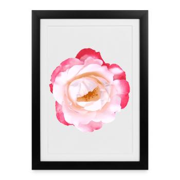 Rose - Framed poster (27 × 37 cm) - black - Front