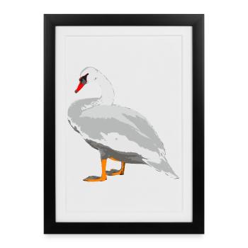 cygne - Affiche encadrée (27 × 37 cm) - noir - Devant