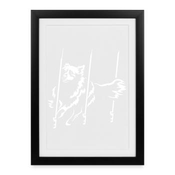 Berger Australien « Black Edition » - Affiche encadrée (27 × 37 cm) - noir - Devant