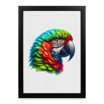 Perroquet - Affiche encadrée (27 × 37 cm) - noir - Devant