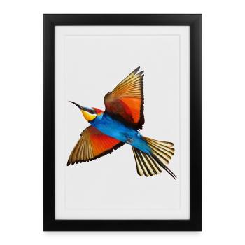 Bee-eater Bird - Framed poster (27 × 37 cm) - black - Front