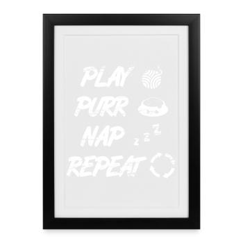 Cat Daily Routine - Framed poster (27 × 37 cm) - black - Front