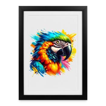 Perroquet - Affiche encadrée (27 × 37 cm) - noir - Devant