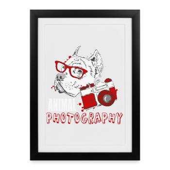 Animal Photography - Gerahmtes Poster (27 × 37 cm) - Schwarz - Vorne