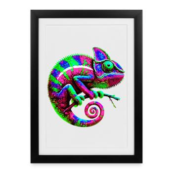 Caméléon - Affiche encadrée (27 × 37 cm) - noir - Devant
