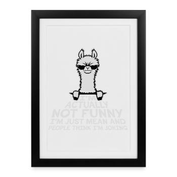 Lama Alpaca Not Funny Just Mean People Think Joke - Framed poster (27 × 37 cm) - black - Front