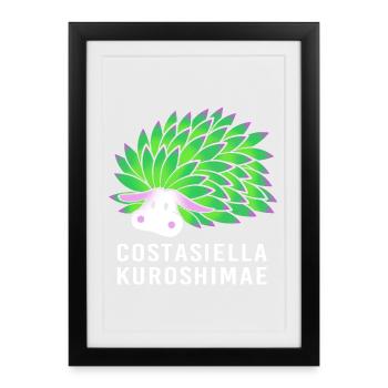 Leaf Sheep Sea Slug Underwater - Framed poster (27 × 37 cm) - black - Front
