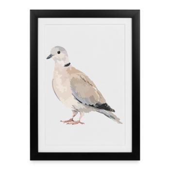 Portrait de pigeon dans des tons terreux - Affiche encadrée (27 × 37 cm) - noir - Devant