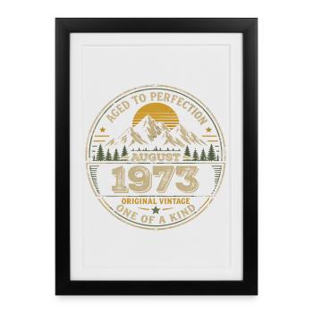 1973 August Birthday Gift Vintage 1973 - Framed poster (27 × 37 cm) - black - Front