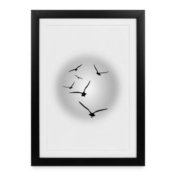 Silhouettes de mouettes sur gris - Affiche encadrée (27 × 37 cm) - noir - Devant