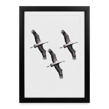 Grues migratrices d’oiseaux dans les tons de gris - Affiche encadrée (27 × 37 cm) - noir - Devant