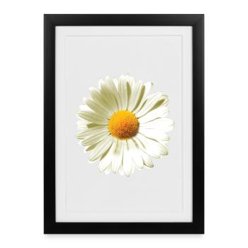 Daisies | Daisy flower power - Framed poster (27 × 37 cm) - black - Front