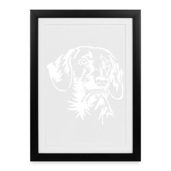 Tête de teckel « Black Edition » - Affiche encadrée (27 × 37 cm) - noir - Devant