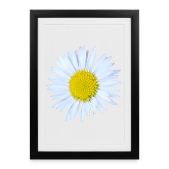 Daisy - Framed poster (27 × 37 cm) - black - Front