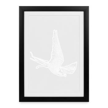 Faucon en piqué - Affiche encadrée (27 × 37 cm) - noir - Devant