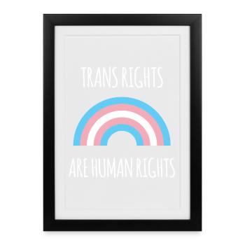 Mois de la fierté - Trans Rights Art Human Rights - Affiche encadrée (27 × 37 cm) - noir - Devant