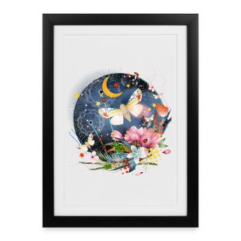 Insectes rares, exotiques et indigènes la nuit - Affiche encadrée (27 × 37 cm) - noir - Devant
