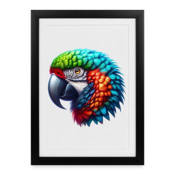 Perroquet - Affiche encadrée (27 × 37 cm) - noir - Devant