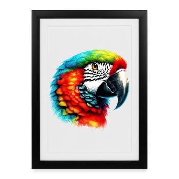 Perroquet - Affiche encadrée (27 × 37 cm) - noir - Devant