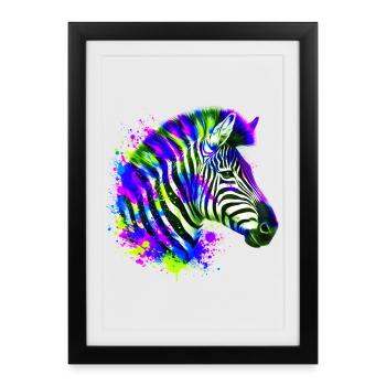 Zebra - Framed poster (27 × 37 cm) - black - Front