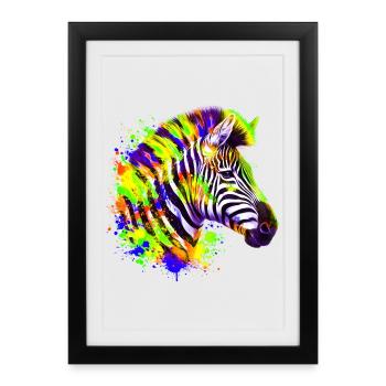Zebra - Framed poster (27 × 37 cm) - black - Front
