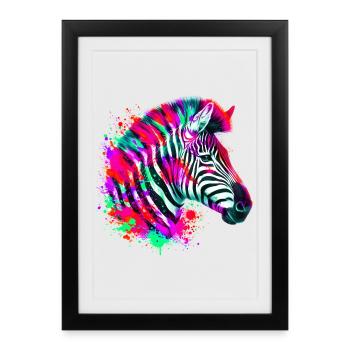 Zèbre - Affiche encadrée (27 × 37 cm) - noir - Devant