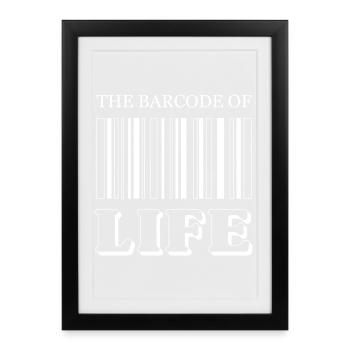 The Barcode of Life / Der Strichcode des Lebens - Framed poster (27 × 37 cm) - black - Front