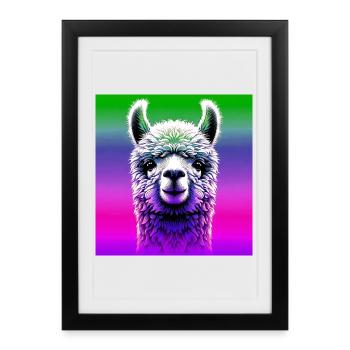 Alpaga - Affiche encadrée (27 × 37 cm) - noir - Devant