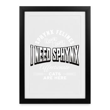 Sphynx Cat Love Drôle - Affiche encadrée (27 × 37 cm) - noir - Devant