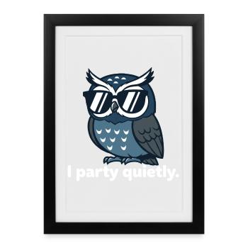 Cool owl with sunglasses - Framed poster (27 × 37 cm) - black - Front