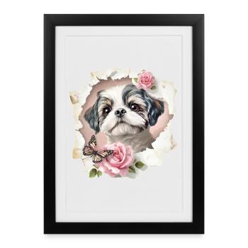 Shih Tzu  - Gerahmtes Poster (27 × 37 cm) - Schwarz - Vorne