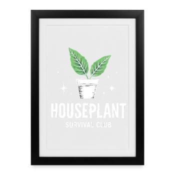 Plantes du Club de Survie des plantes d’intérieur - Affiche encadrée (27 × 37 cm) - noir - Devant