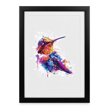 Éclaboussure colorée d’aquarelle colibri - Affiche encadrée (27 × 37 cm) - noir - Devant