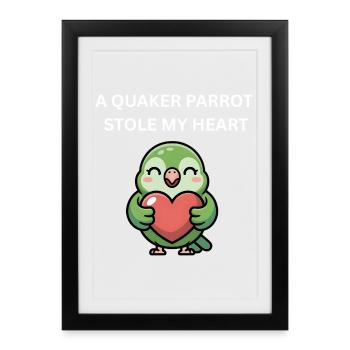 Quaker Parrot Stole My Heart - Cute Monk Parakeet - Framed poster (27 × 37 cm) - black - Front