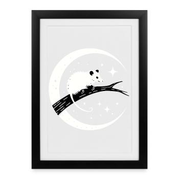 opossum - Affiche encadrée (27 × 37 cm) - noir - Devant
