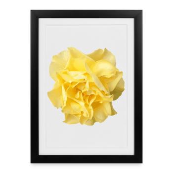 Rose jaune : motif floral pour les vêtements - Affiche encadrée (27 × 37 cm) - noir - Devant