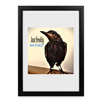 Just freshly bathed - Framed poster (27 × 37 cm) - black - Front