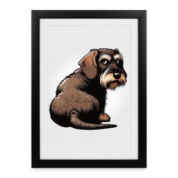 teckel teckel à poils durs propriétaire de teckel teckel - Affiche encadrée (27 × 37 cm) - noir - Devant