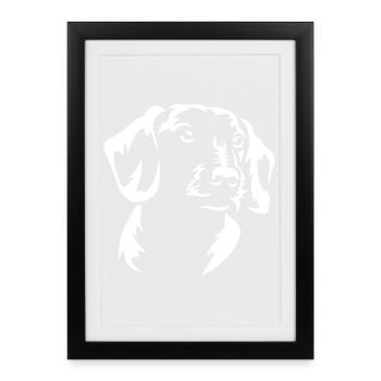 Tête de teckel « Black Edition » - Affiche encadrée (27 × 37 cm) - noir - Devant