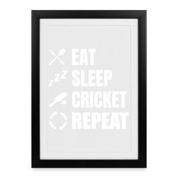 Routine quotidienne des joueurs de cricket - Affiche encadrée (27 × 37 cm) - noir - Devant