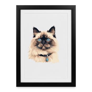 Tête de chat Ragdoll - Affiche encadrée (27 × 37 cm) - noir - Devant