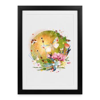 Le monde coloré des insectes et des papillons - Affiche encadrée (27 × 37 cm) - noir - Devant