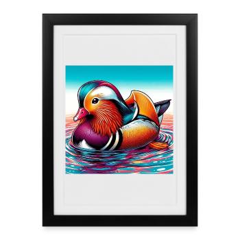 Canard mandarin - Affiche encadrée (27 × 37 cm) - noir - Devant