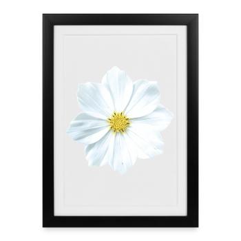 fleur - Affiche encadrée (27 × 37 cm) - noir - Devant