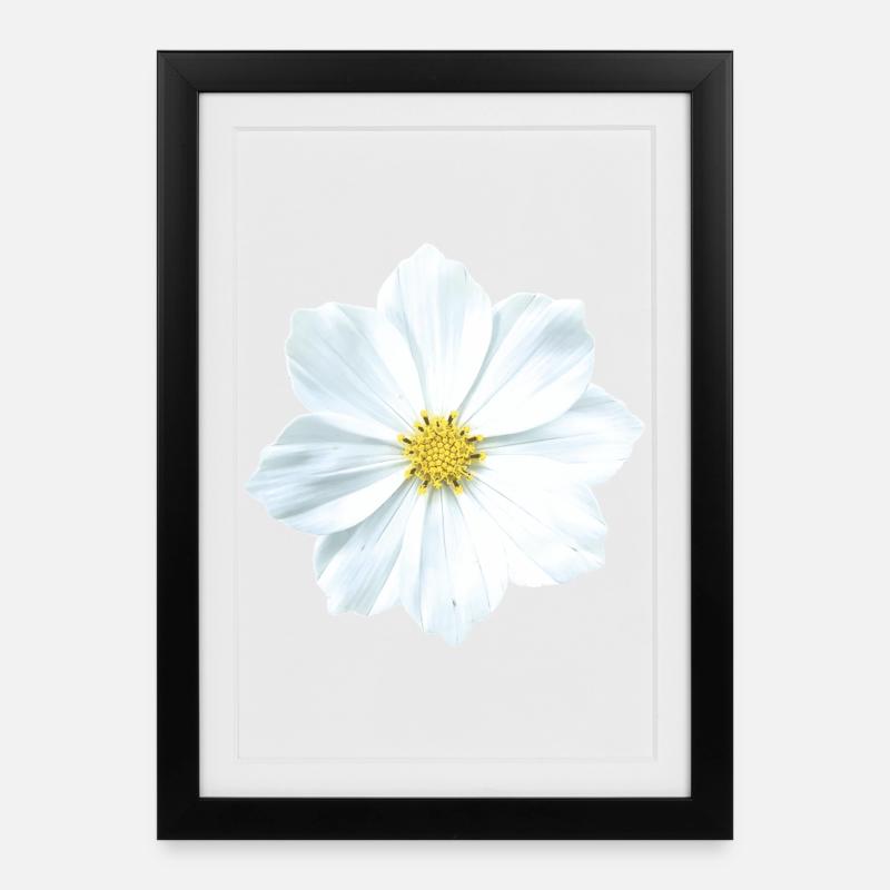 fleur - Affiche encadrée (27 × 37 cm) - noir