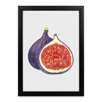 Geöffnete Feige – Frucht-Illustration - Gerahmtes Poster (27 × 37 cm) - Schwarz - Vorne