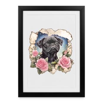 black pug - Framed poster (27 × 37 cm) - black - Front