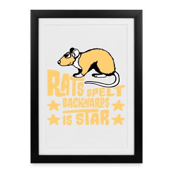 Rats Orthographié à l’envers est Star Lustiger Ratte Spruch - Affiche encadrée (27 × 37 cm) - noir - Devant